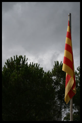 Senyera